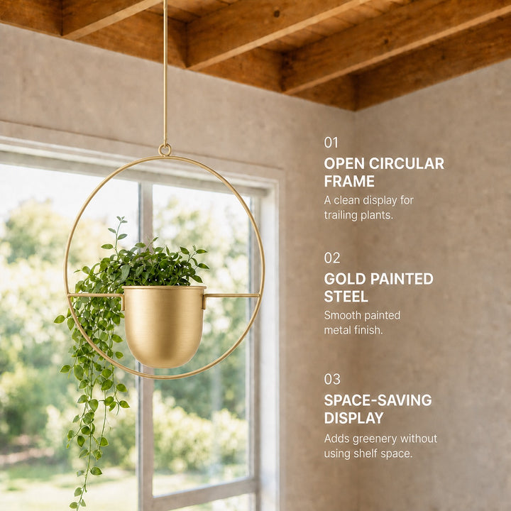 2-Pack Minimalist Round Metal Plant Hangers - Gold Finish