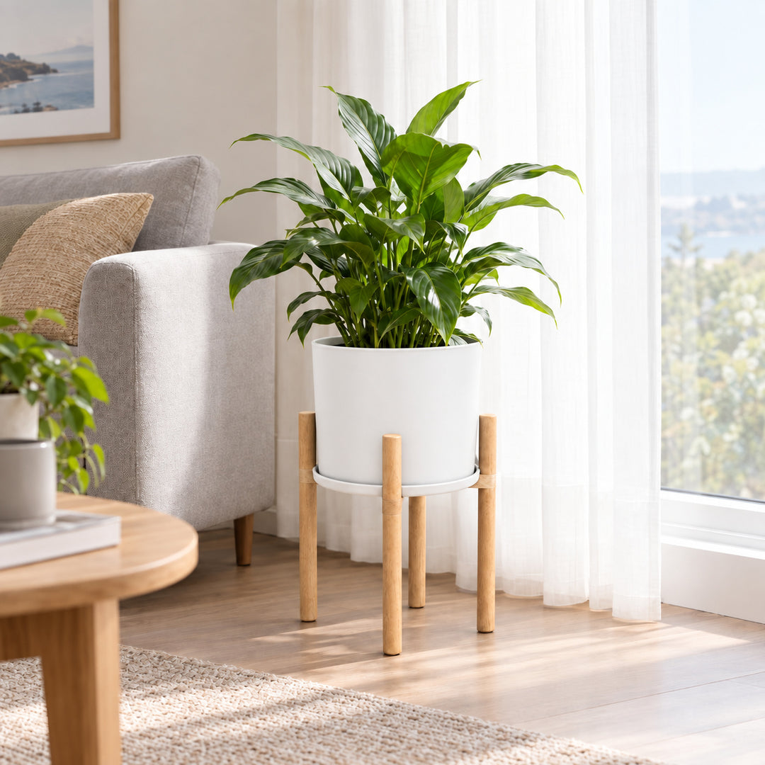 Modern White Flower Pot with Wooden Stand - 50 cm