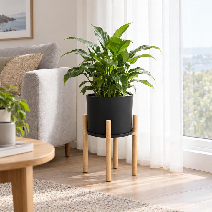 Modern Flower Pot with Wooden Display Stand and Reversible Saucer/Lid Black 50cm Indoor Planter