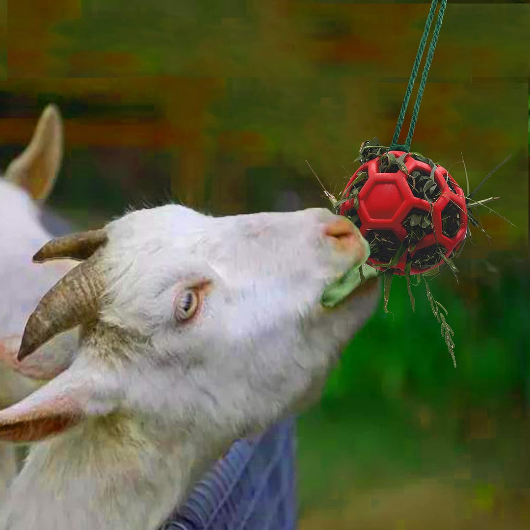 2 Pack Horse Treat Ball Hay Feeder Toy , Red