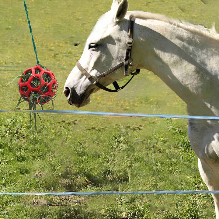 2 Pack Horse Treat Ball Hay Feeder Toy , Red