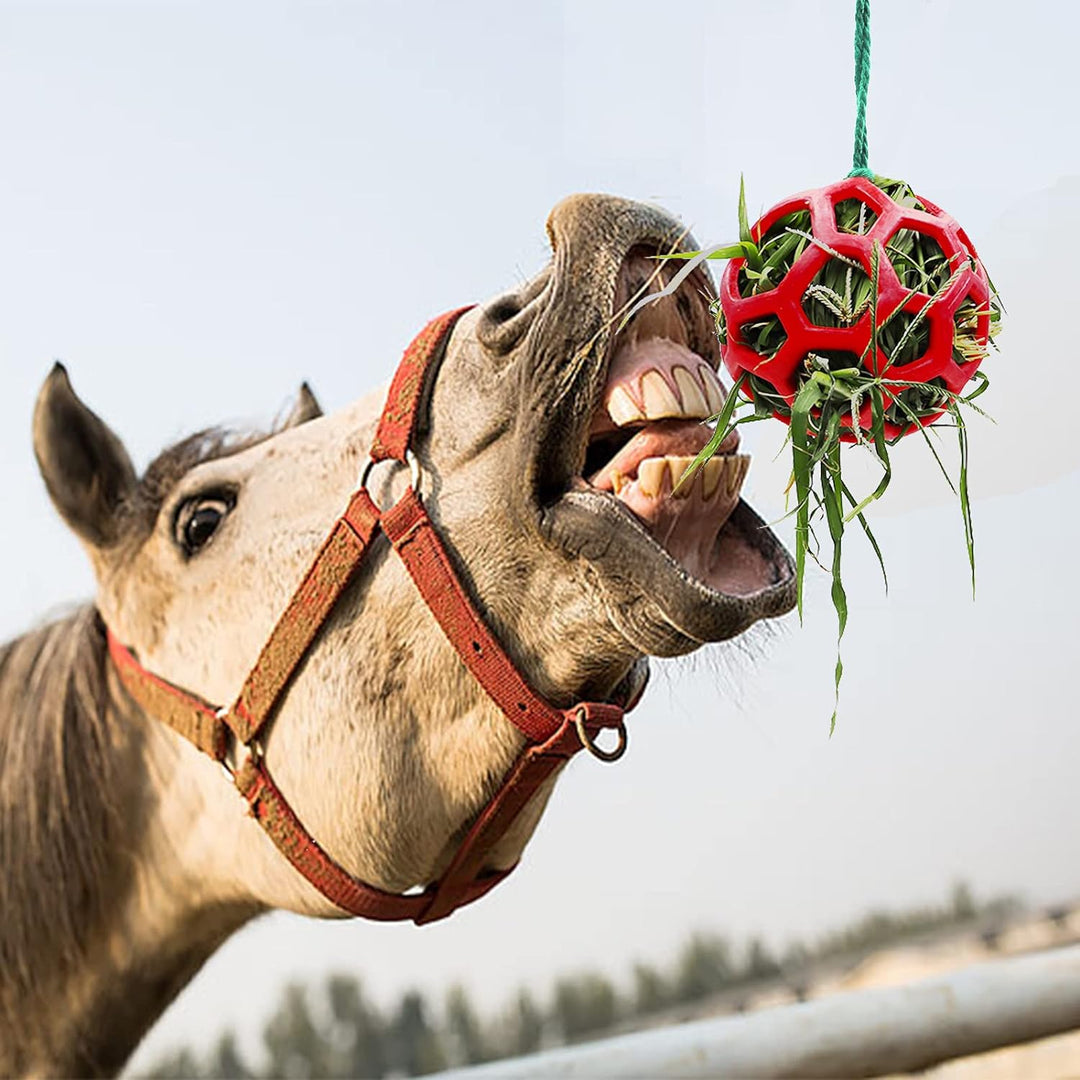 2 Pack Horse Treat Ball Hay Feeder Toy , Red