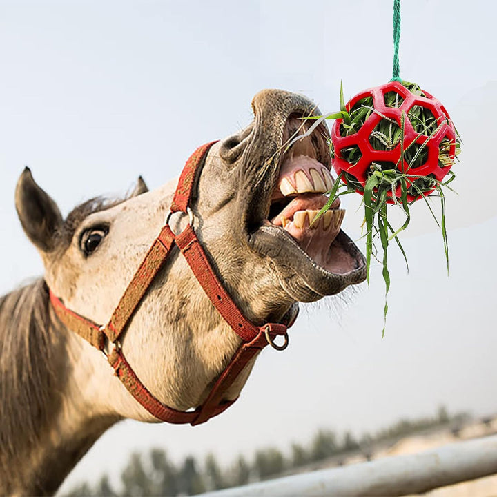 2 Pack Horse Treat Ball Hay Feeder Toy , Red