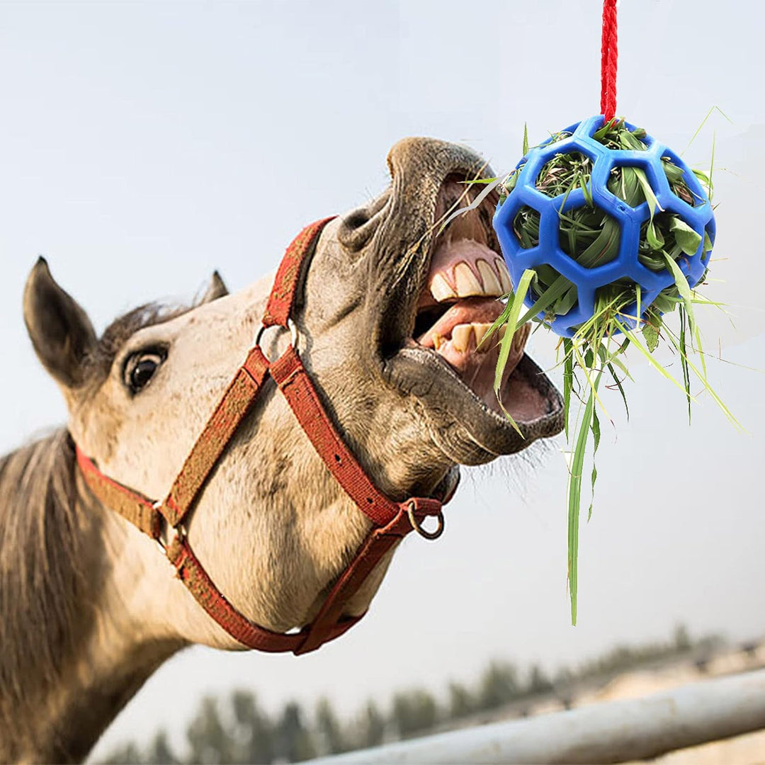 2 Pack Horse Treat Ball Hay Feeder Toy , Blue