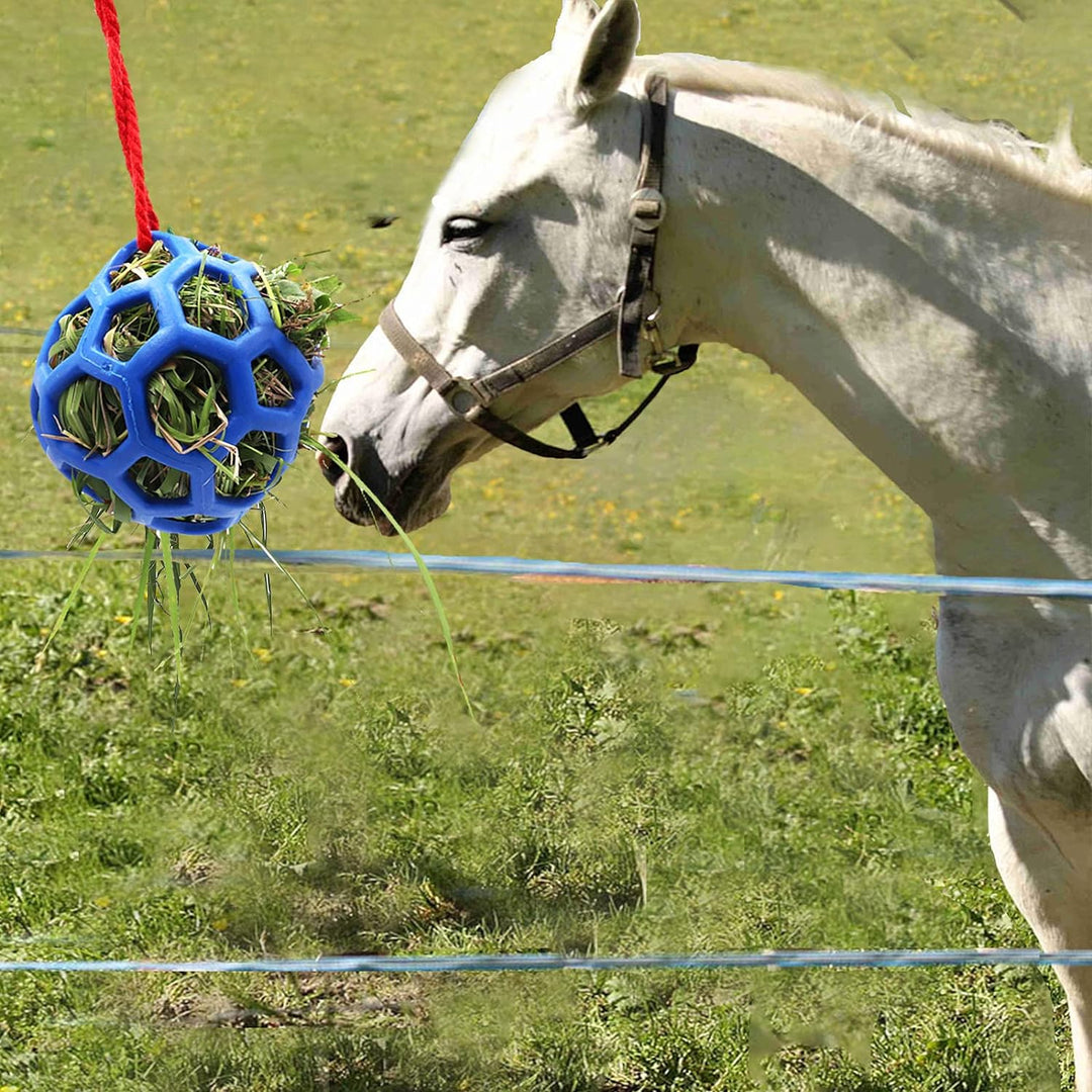 2 Pack Horse Treat Ball Hay Feeder Toy , Blue