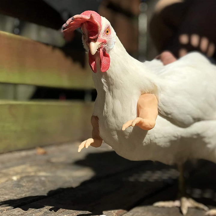 4Pack Chicken Wing Arms - Nude