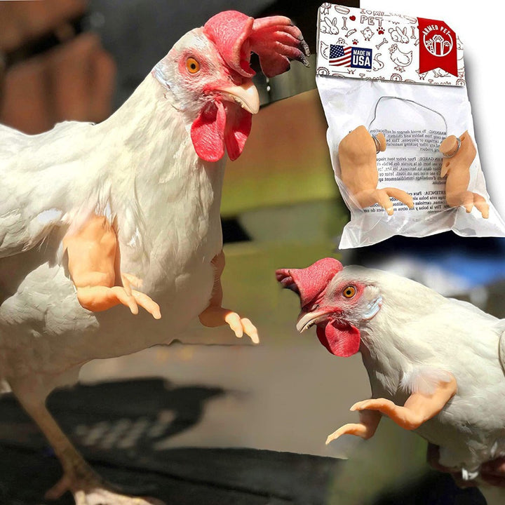 4Pack Chicken Wing Arms - Nude
