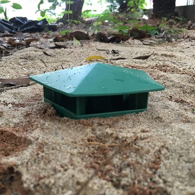 2pack snail Trap