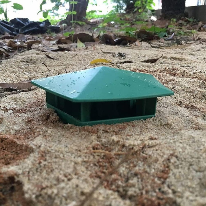 2pack snail Trap