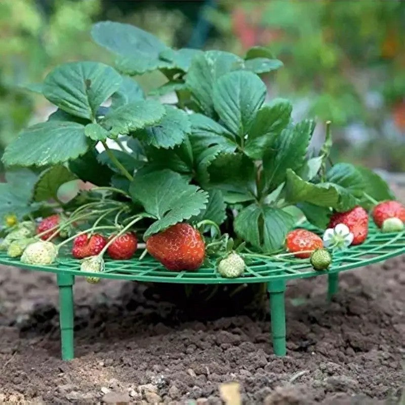 Strawberry Support Frame 5Pack