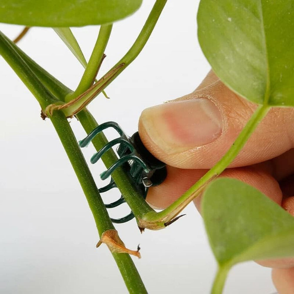 100PCS Plant Support Clips