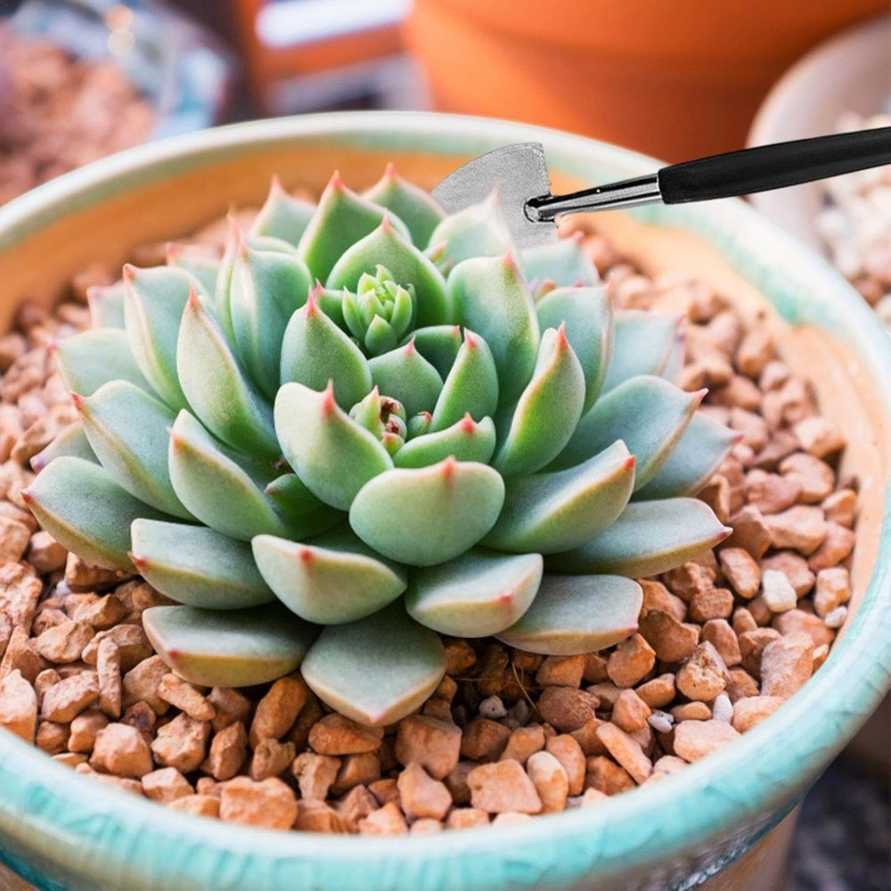 14 Piece Mini Garden Tool Set for Succulent Planting