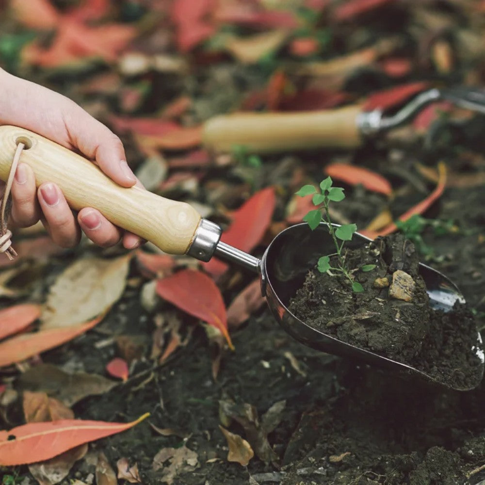 3-Piece Stainless Steel Gardening Tool Set