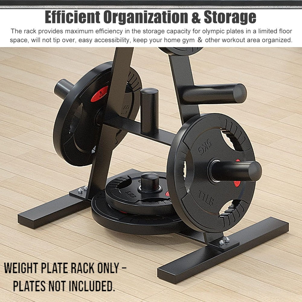Heavy Duty Weight Plate Storage Rack Stand