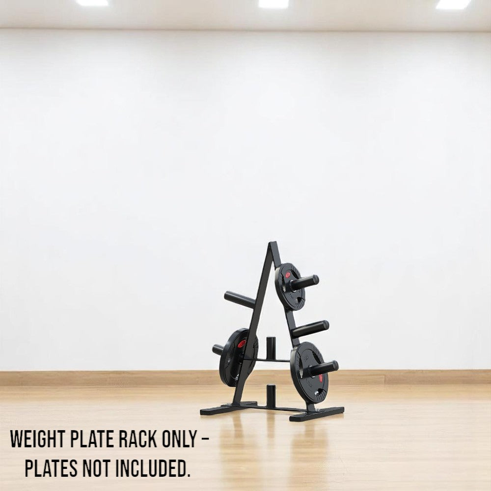 Heavy Duty Weight Plate Storage Rack Stand