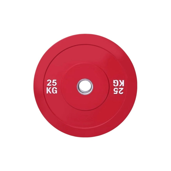 25KG Color Bumper Weights
