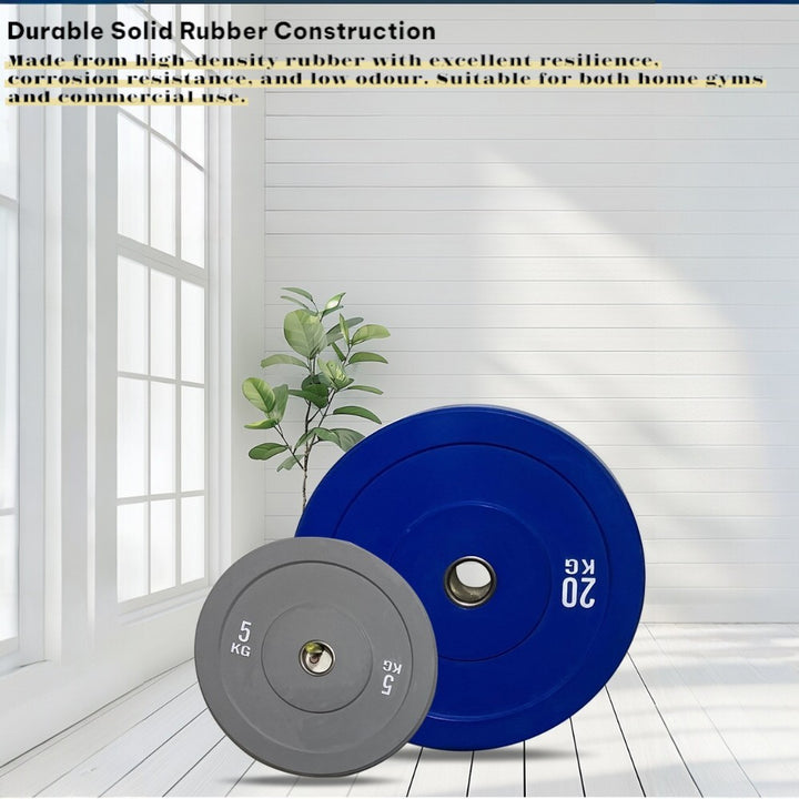2X10KG Color Bumper Weights