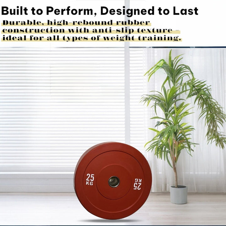 2X10KG Color Bumper Weights