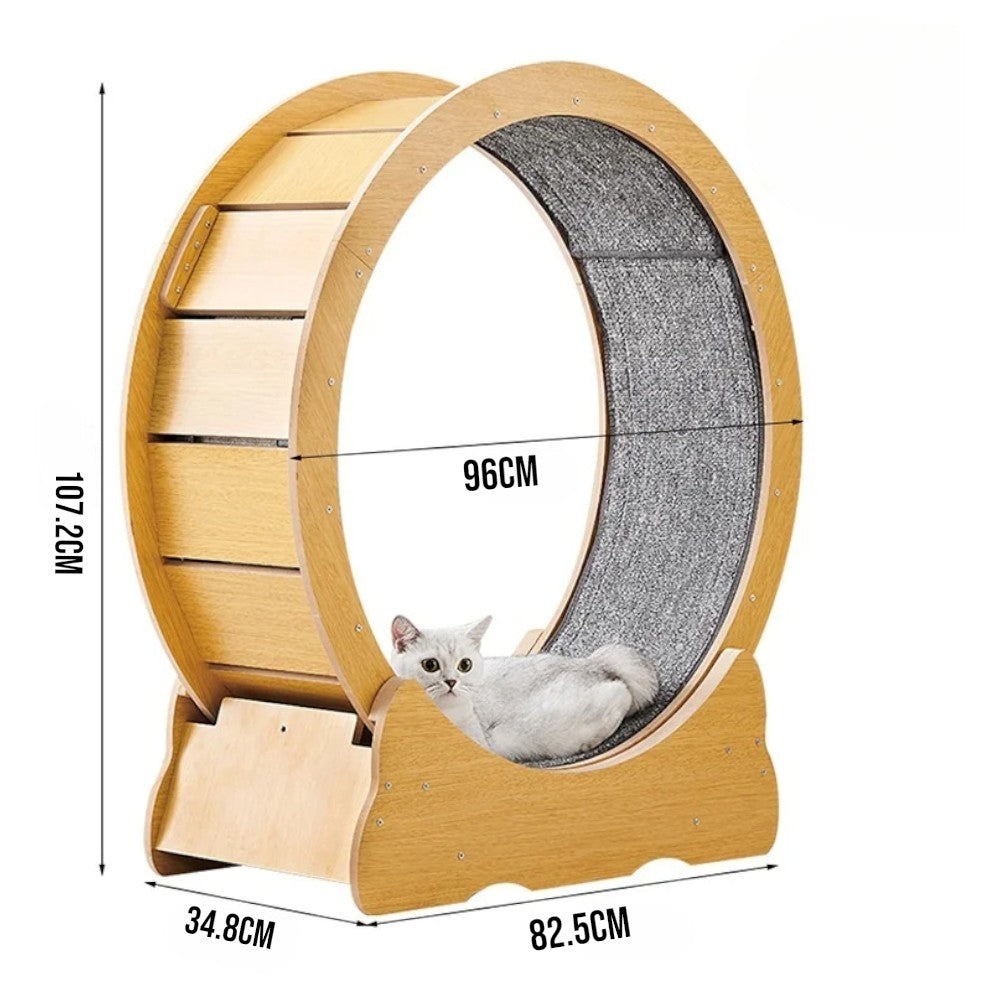 Cat Treadmill Wheel