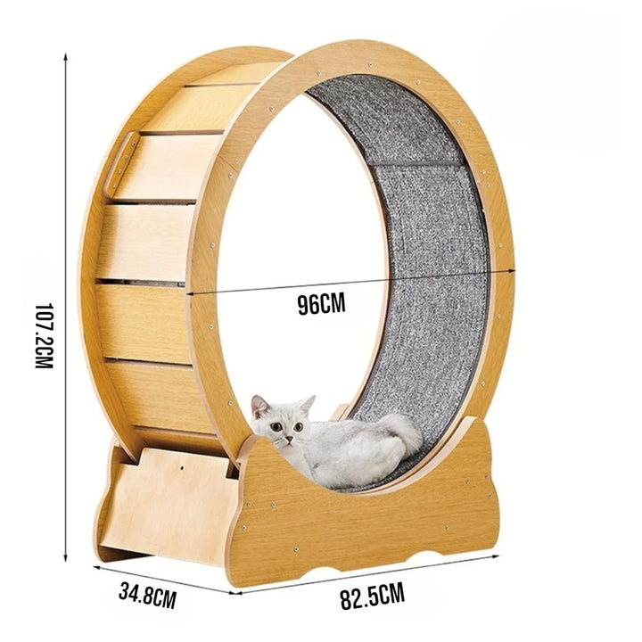 Cat Treadmill Wheel