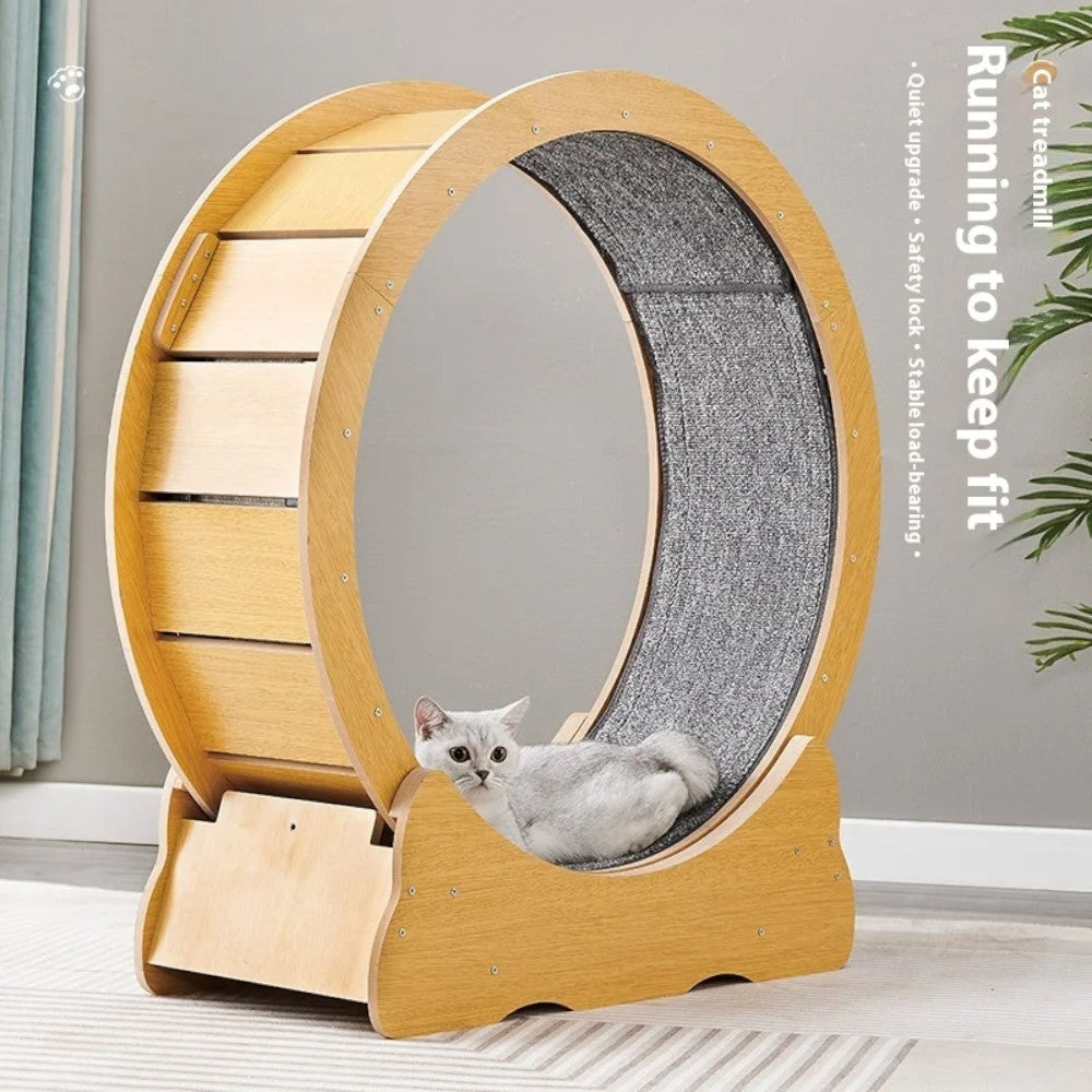 Cat Treadmill Wheel