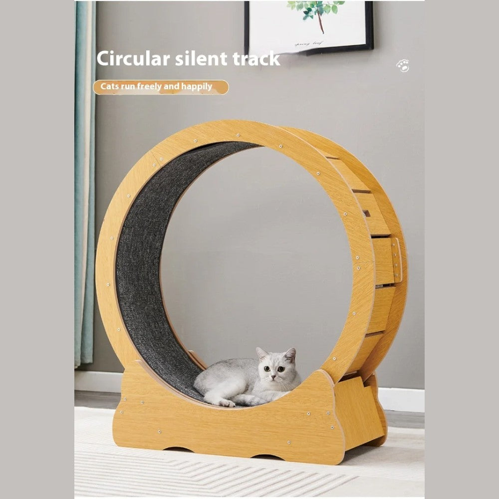 Cat Treadmill Wheel