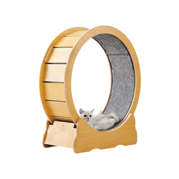 Cat Treadmill Wheel