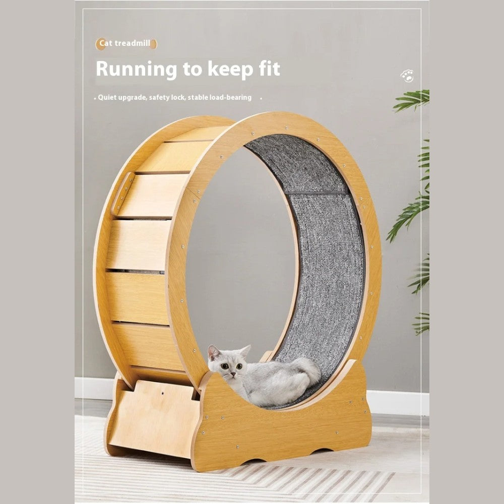 Cat Treadmill Wheel