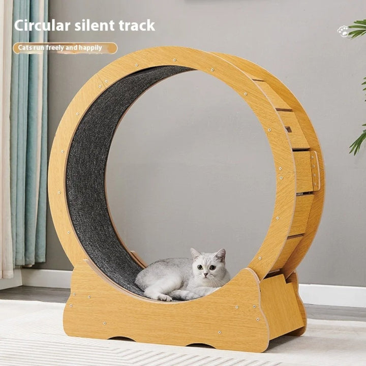 Cat Treadmill Wheel