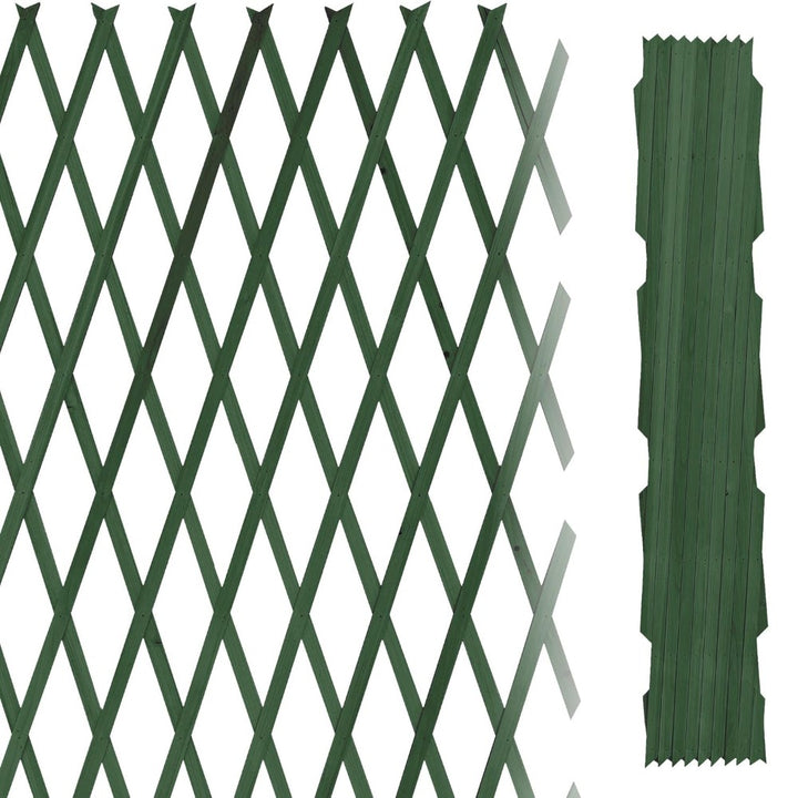 Expandable Trellis Fence for Climbing Plants