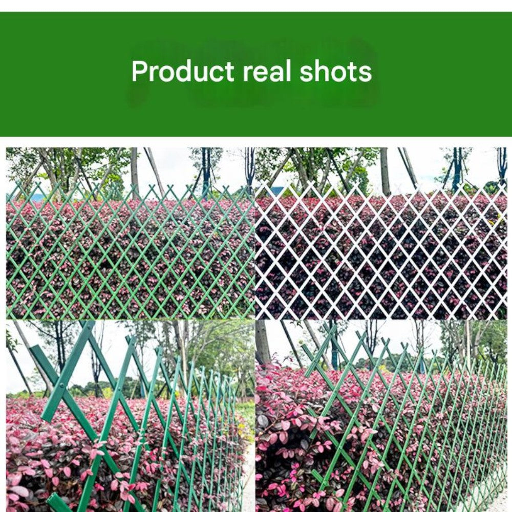 Expandable Trellis Fence for Climbing Plants