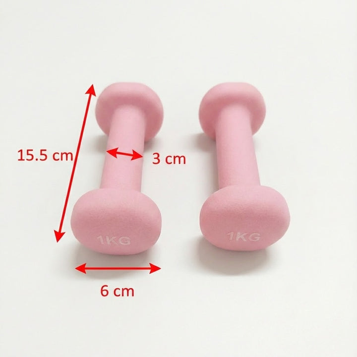 Set of 2 Dumbbell Hand Weights 1KG Each