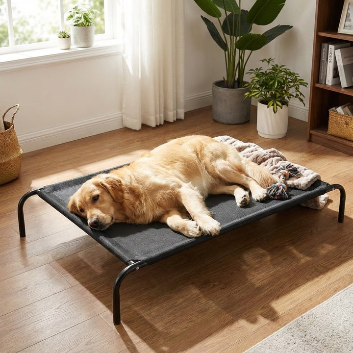 Elevated Dog Bed With Breathable Sterling Mesh - XL