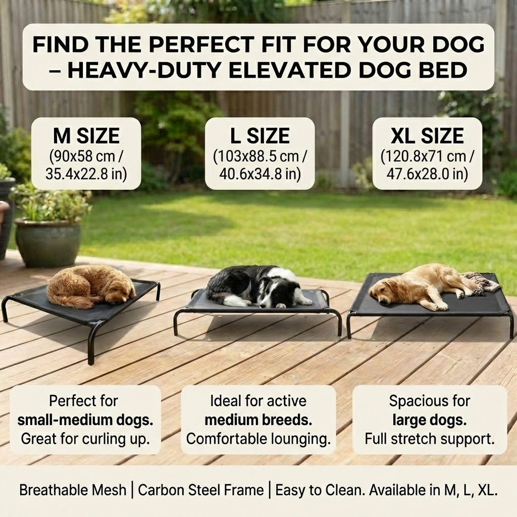 Elevated Dog Bed With Breathable Sterling Mesh - XL