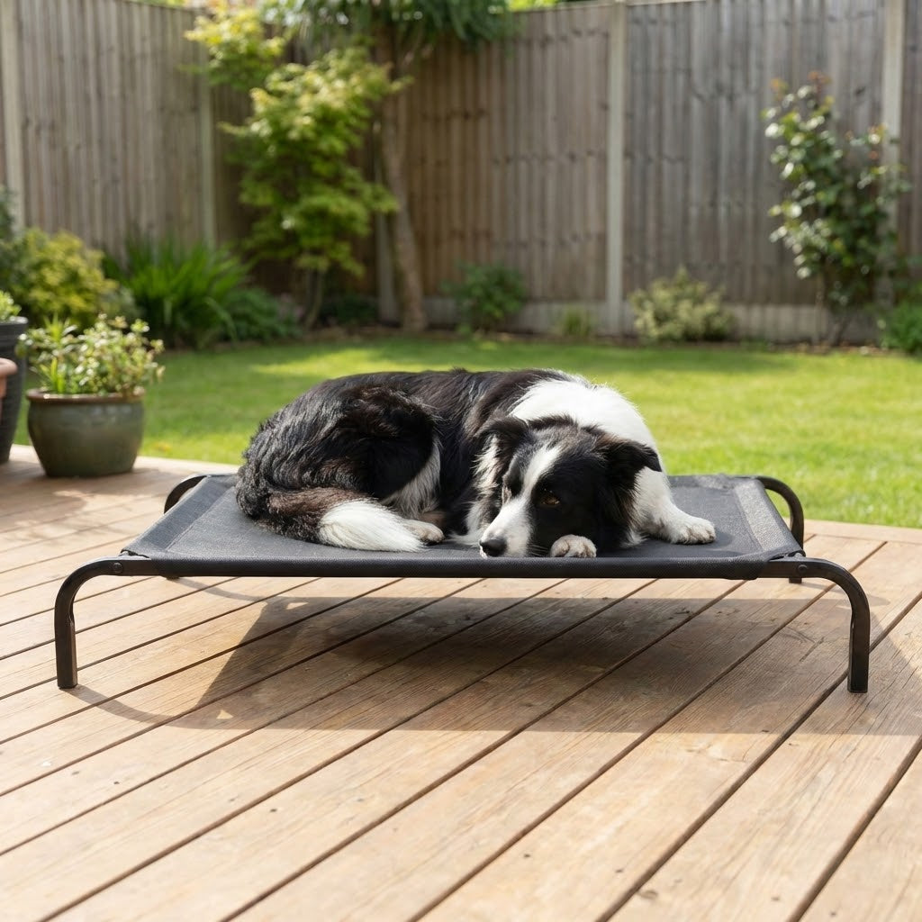 Elevated Dog Bed With Breathable Sterling Mesh – L