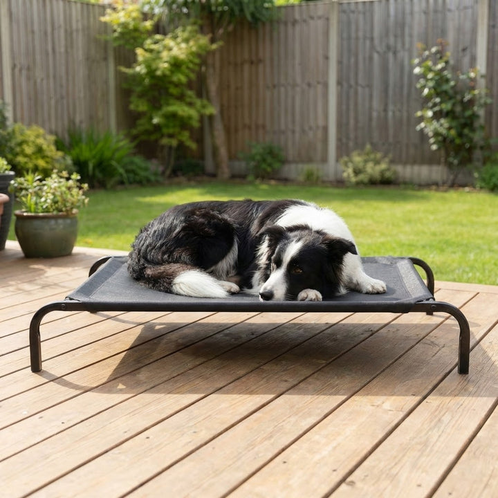 Elevated Dog Bed With Breathable Sterling Mesh – L