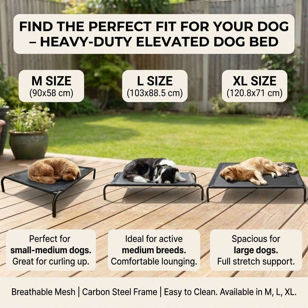 Elevated Dog Bed With Breathable Sterling Mesh - M