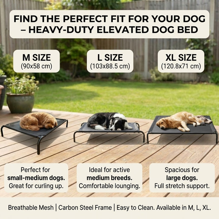 Elevated Dog Bed With Breathable Sterling Mesh - M
