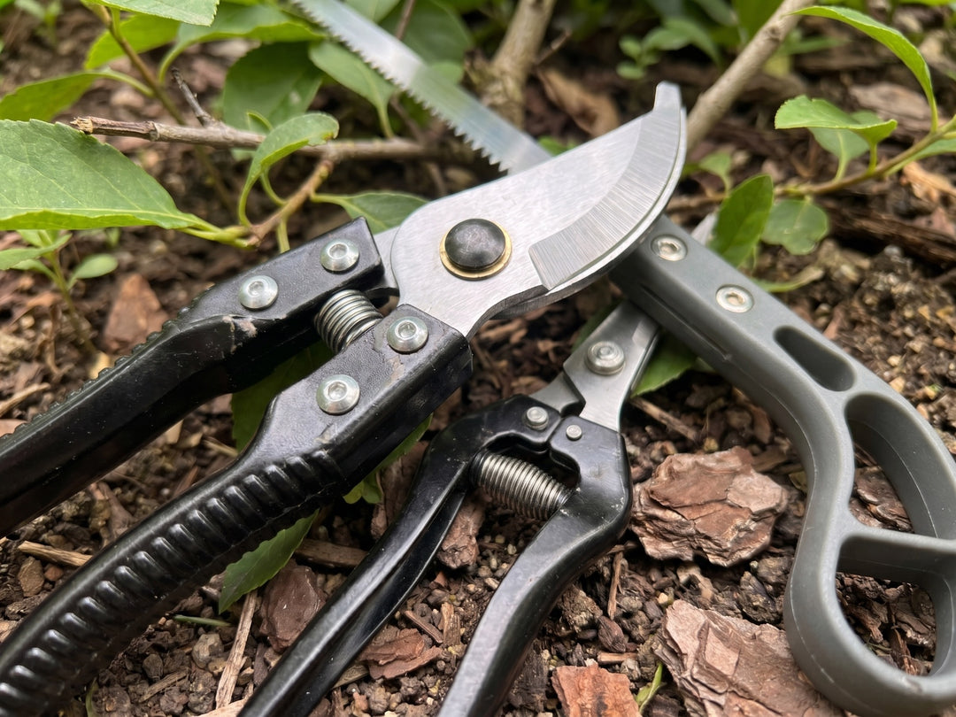 Gardening Tool Set with Alloy Steel Blades & Aluminum Handles _ 5-Piece Pruning Kit