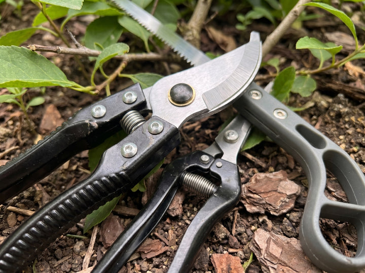 Gardening Tool Set with Alloy Steel Blades & Aluminum Handles _ 5-Piece Pruning Kit