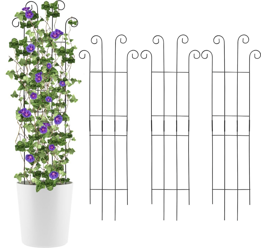 4 Pcs Metal Garden Trellis for Climbing Plants - Black Iron Flower Support
