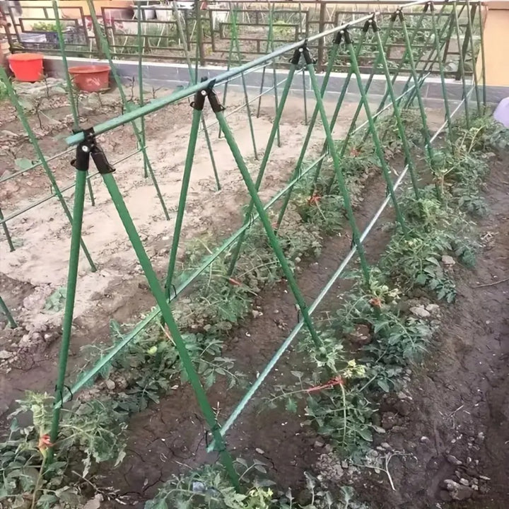 A Frame 16mm Garden Climbing Support Trellis Set