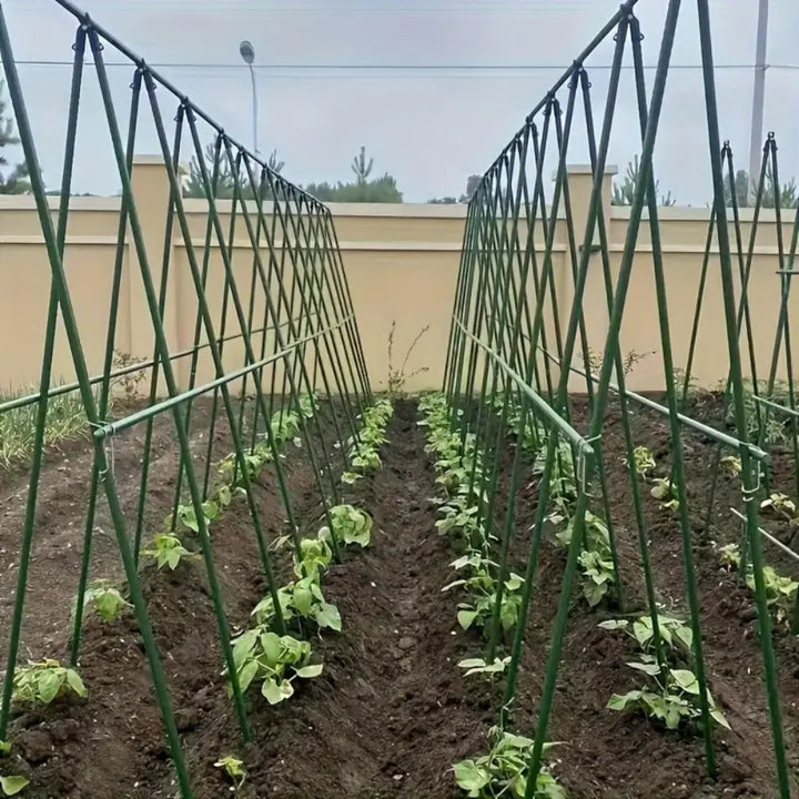 A Frame 16mm Garden Climbing Support Trellis Set