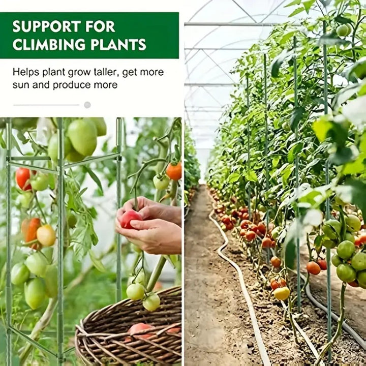 3Pack 16MM Garden Tomato Cage Garden Plant Stakes