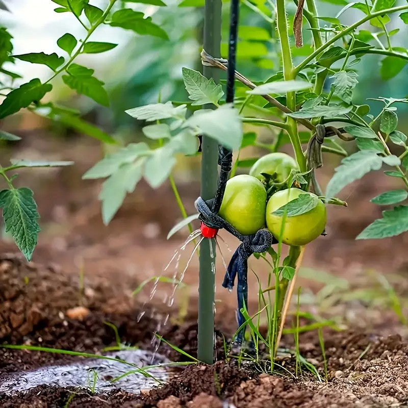 Garden Plant Climbing Trellis Support Frame - 90CM