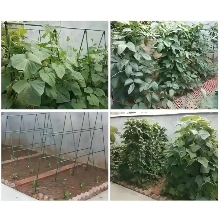 10pcs 16mm×150CM Plastic Coated Metal Garden Stakes