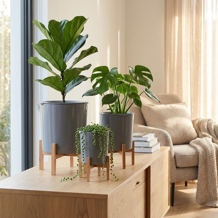 Set of 3 Grey Plastic Planters with Wooden Stands
