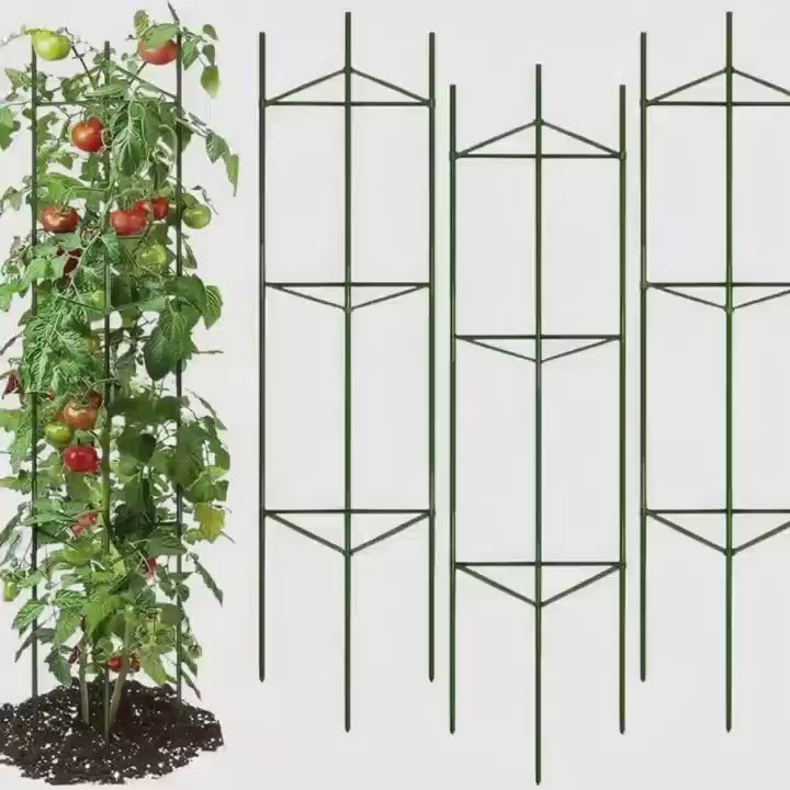 3Pack 16MM Garden Tomato Cage Garden Plant Stakes