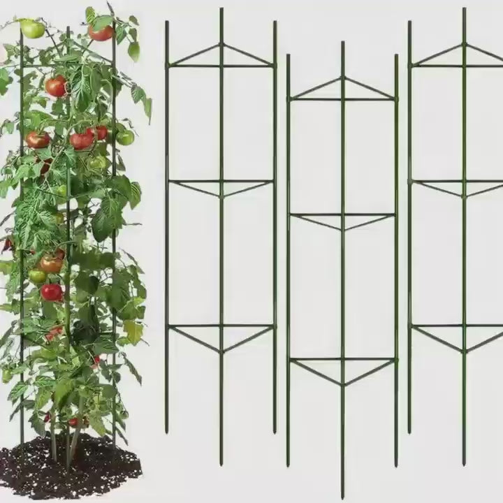 3Pack 16MM Garden Tomato Cage Garden Plant Stakes