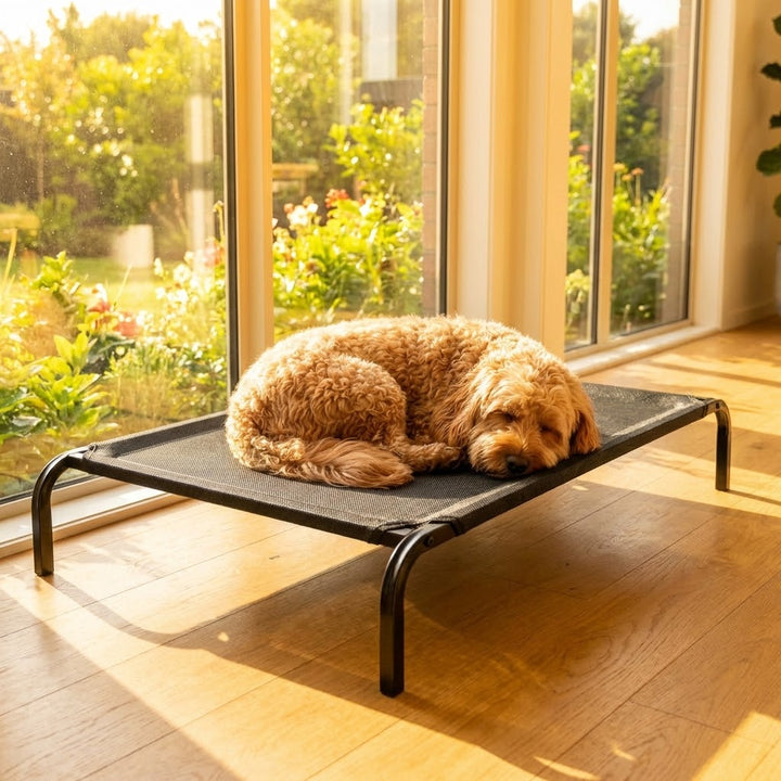 Elevated Dog Bed With Breathable Sterling Mesh - M